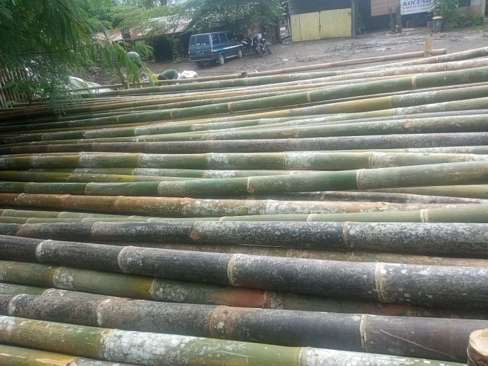 Bambu kontruksi, bambu proyek, bambu, steger