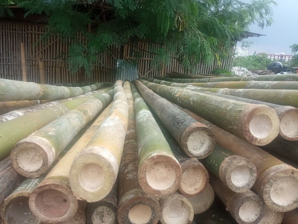Di lapak kami menjual berbagai macam bambu dan ukuran buat  bahan bangunan cor, dak, cerucuk, bekisting,kontruksi bangunan, reklamasi laut, umbul