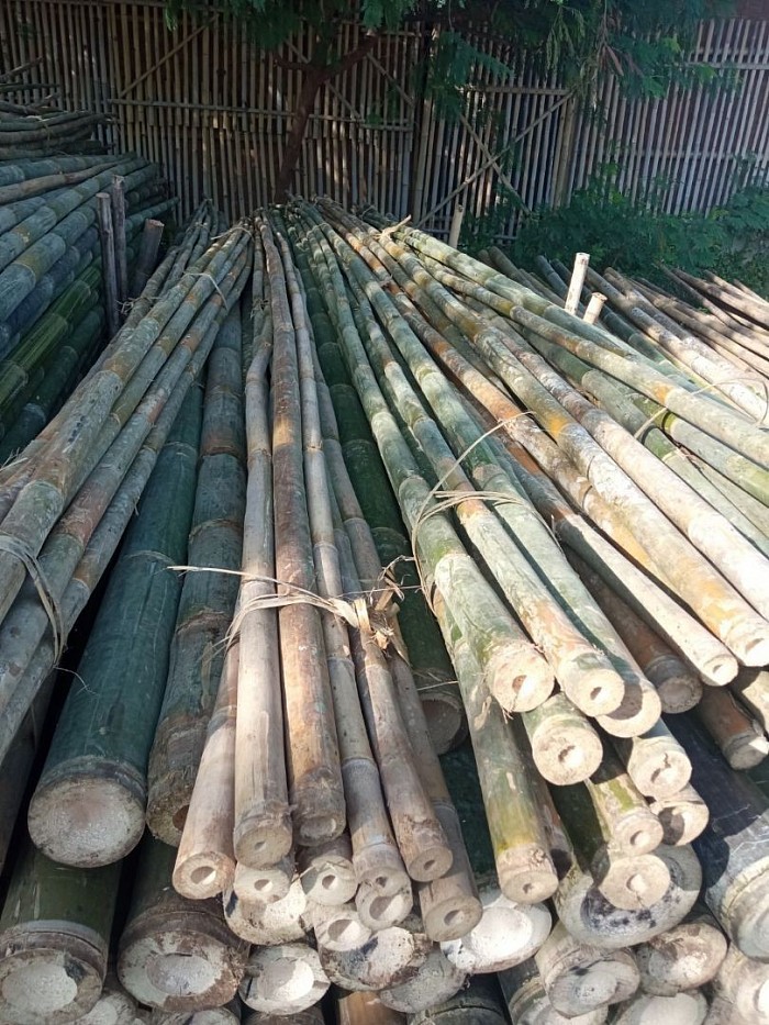 Siap kirim bambu buat umbul