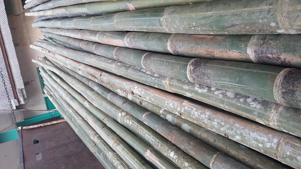 Bambu steger bekisting cor dak cerucuk dll